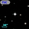 TYC 4995-698-1