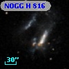 NOGG H  816