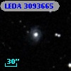 LEDA 3093665