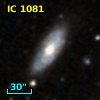IC 1081
