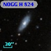 NOGG H  824