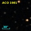 ACO  1981