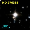 HD 276388