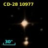 CD-28 10977