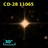 CD-28 11065