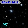 BD+43  1016
