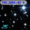 TYC 2891-42-1