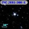 TYC 2891-300-1