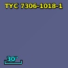 TYC 7306-1018-1