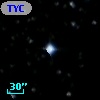 TYC 7310-1455-1