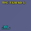 TYC 7324-60-1