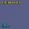 CD-34 10313