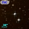 TYC 7325-1313-1