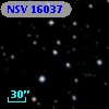 NSV 16037