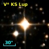 V* KS Lup
