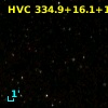 HVC 334.9+16.1+116