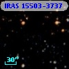 IRAS 15503-3737