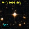 V* V1095 Sco