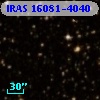 IRAS 16081-4040