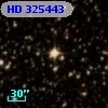 HD 325443