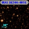IRAS 16244-4031