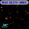 IRAS 16273-4003