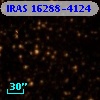 IRAS 16288-4124