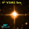 V* V1061 Sco