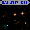 IRAS 16367-4231