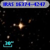 IRAS 16374-4247