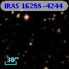 IRAS 16288-4244
