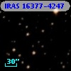 IRAS 16377-4247
