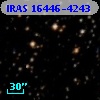 IRAS 16446-4243