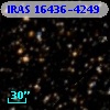 IRAS 16436-4249
