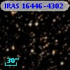 IRAS 16446-4302