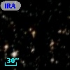 IRAS 16446-4246