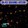 IRAS 16446-4210