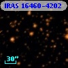 IRAS 16460-4202