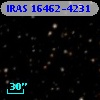 IRAS 16462-4231