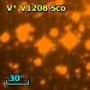 V* V1208 Sco