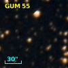 GUM 55