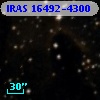IRAS 16492-4300