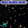 IRAS 16493-4242