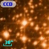 CCDM J16543-4149D