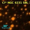 Cl* NGC 6231    SBL     131