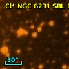 Cl* NGC 6231    SBL     132