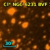 Cl* NGC 6231    BVF     115