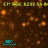 Cl* NGC 6231     SS      84
