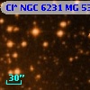 Cl* NGC 6231     MG      53