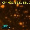 Cl* NGC 6231    SBL     208